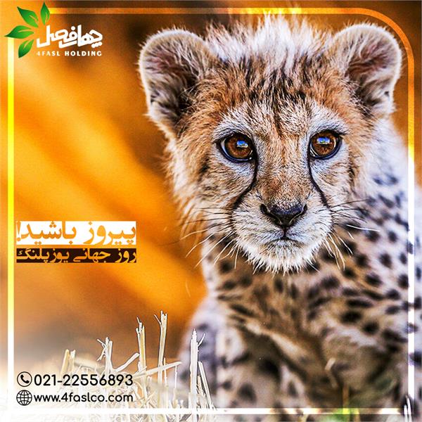 در صیانت از یوزپلنگ؛ پیروز باشید!