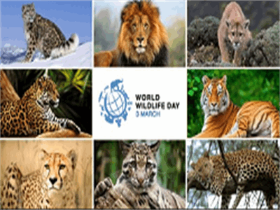روز جهانی حیات وحش