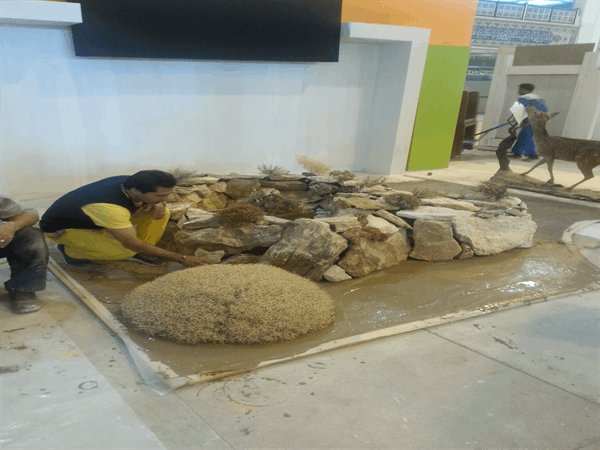 نمایشگاه محیط زیست (6)