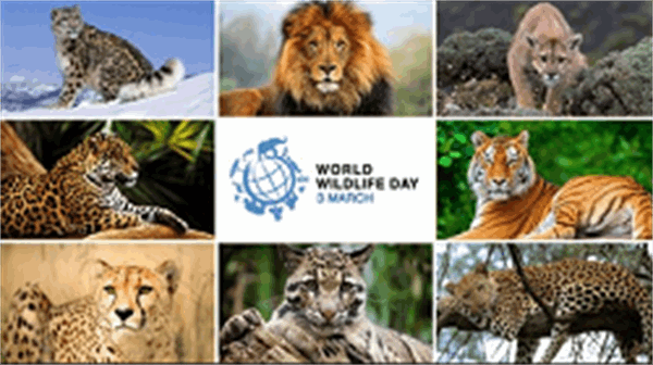 روز جهانی حیات وحش